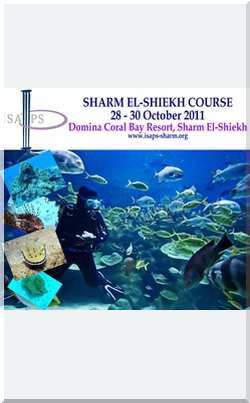 Sharm 2011